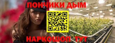 крисы Вышний Волочёк