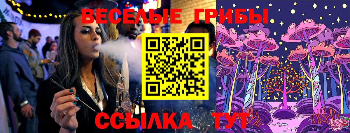 Галлюциногенные грибы Cubensis Кимры