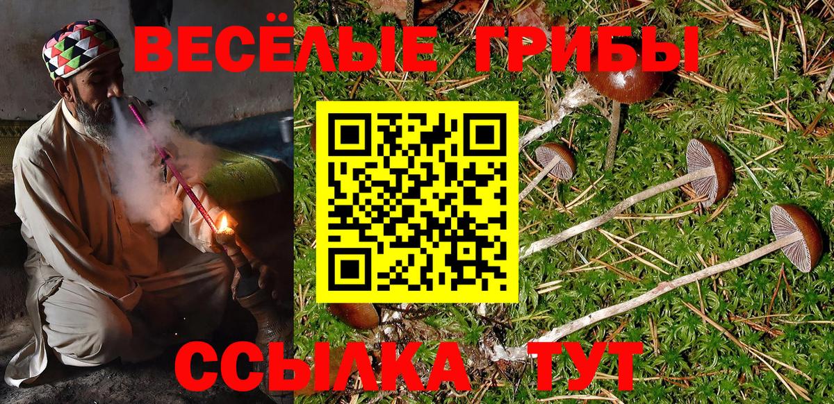 Меф МЯУ МЯУ   Кимры  КОКАИН  Экстази  Вход с VPN  ГЕРОИН  ГАШ 
