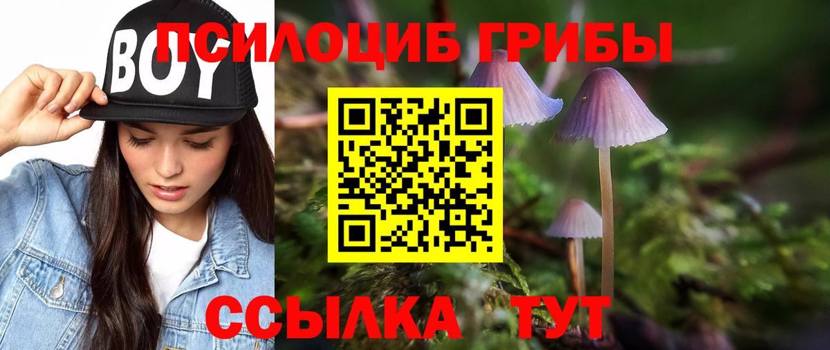 Псилоцибиновые грибы мухоморы  Вход с VPN  Кимры 